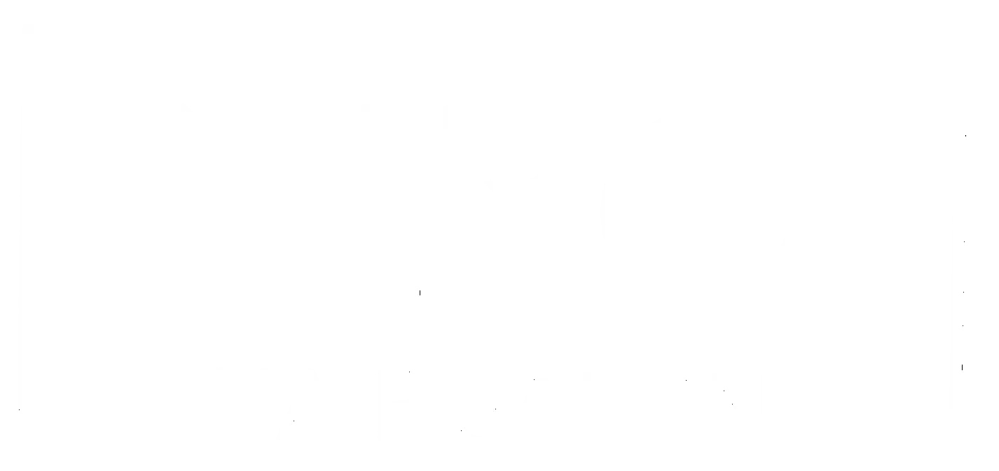 NIro hair salon logo white